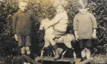 Three of the Newton siblings, Jackie, Maggie and Ronnie, c.1931